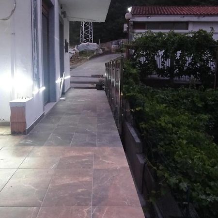 Apartment Kraljica Jelena ヴィルパザル エクステリア 写真